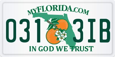 FL license plate 0313IB