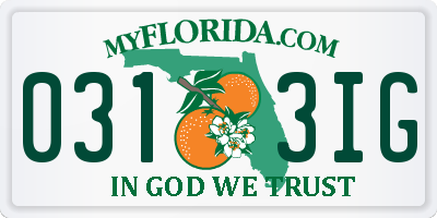 FL license plate 0313IG