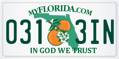 FL license plate 0313IN