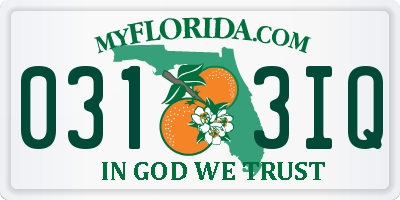 FL license plate 0313IQ