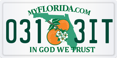 FL license plate 0313IT