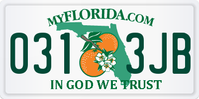 FL license plate 0313JB