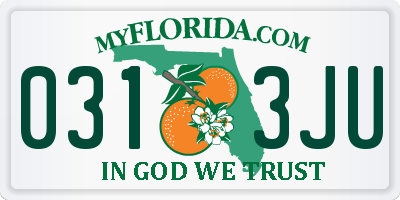 FL license plate 0313JU
