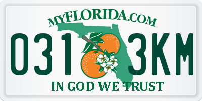 FL license plate 0313KM