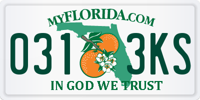 FL license plate 0313KS