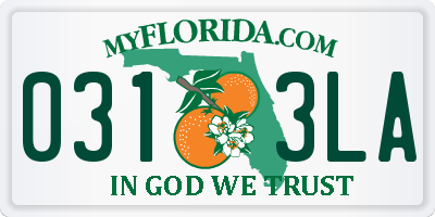 FL license plate 0313LA