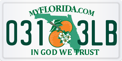 FL license plate 0313LB