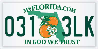 FL license plate 0313LK