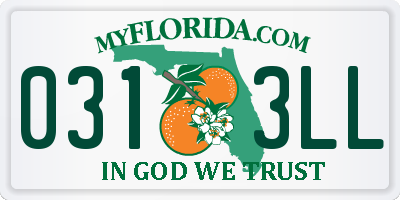 FL license plate 0313LL