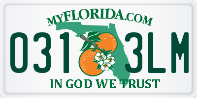 FL license plate 0313LM
