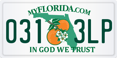 FL license plate 0313LP