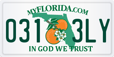 FL license plate 0313LY