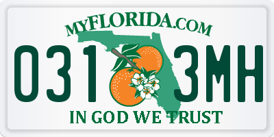 FL license plate 0313MH