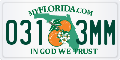 FL license plate 0313MM