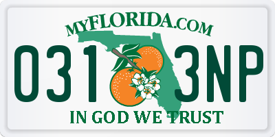 FL license plate 0313NP