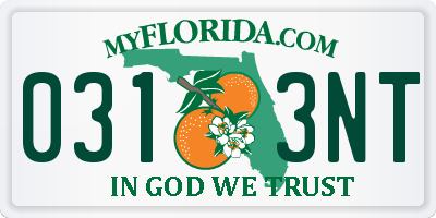 FL license plate 0313NT