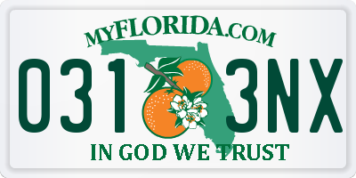FL license plate 0313NX
