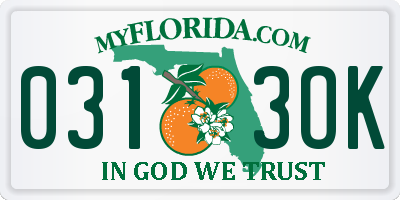FL license plate 0313OK