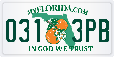 FL license plate 0313PB