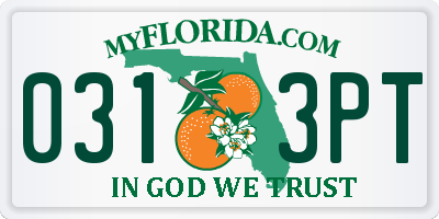 FL license plate 0313PT