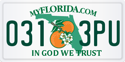 FL license plate 0313PU