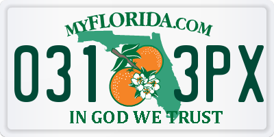 FL license plate 0313PX