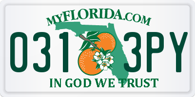 FL license plate 0313PY
