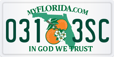 FL license plate 0313SC