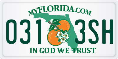 FL license plate 0313SH