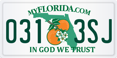 FL license plate 0313SJ