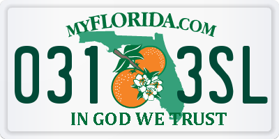 FL license plate 0313SL