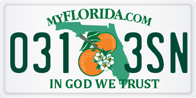 FL license plate 0313SN