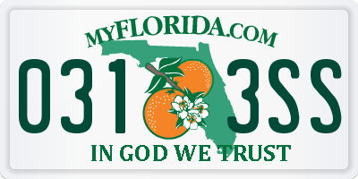 FL license plate 0313SS