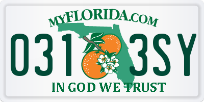 FL license plate 0313SY