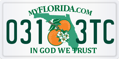 FL license plate 0313TC