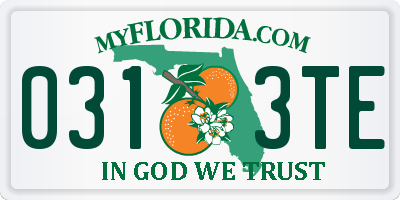 FL license plate 0313TE