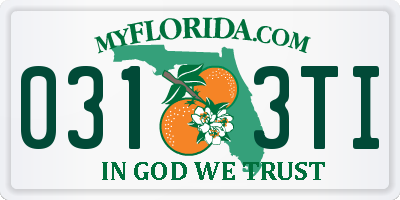 FL license plate 0313TI