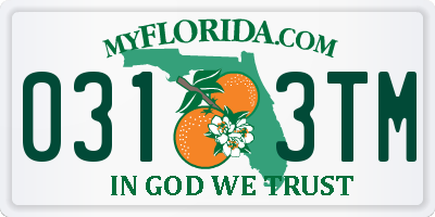 FL license plate 0313TM