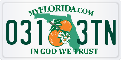 FL license plate 0313TN
