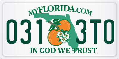 FL license plate 0313TO