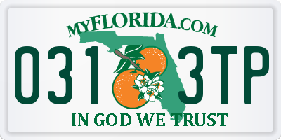 FL license plate 0313TP