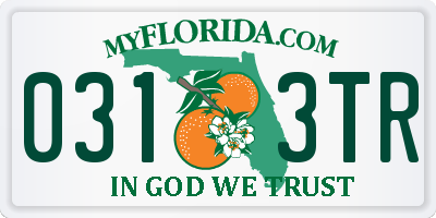 FL license plate 0313TR