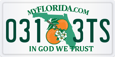 FL license plate 0313TS