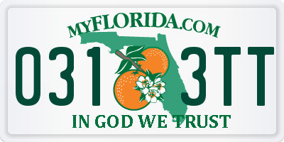 FL license plate 0313TT