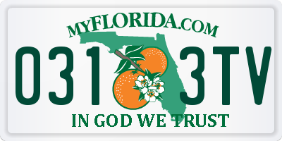 FL license plate 0313TV
