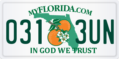 FL license plate 0313UN