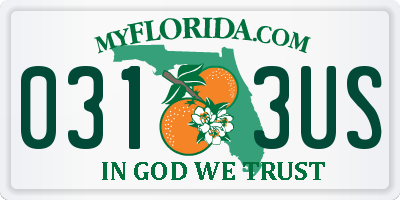 FL license plate 0313US