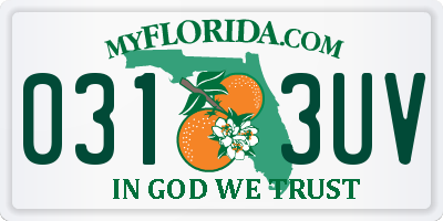 FL license plate 0313UV