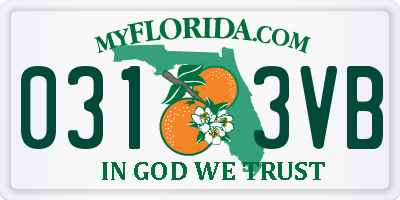 FL license plate 0313VB