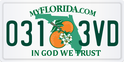 FL license plate 0313VD